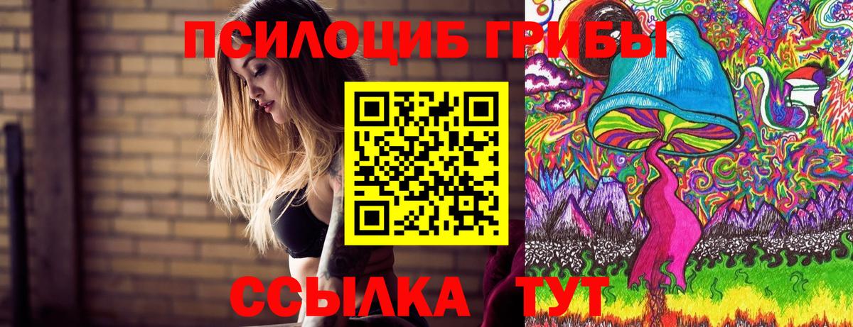 Псилоцибиновые грибы Magic Shrooms  Вход с VPN  Унеча 
