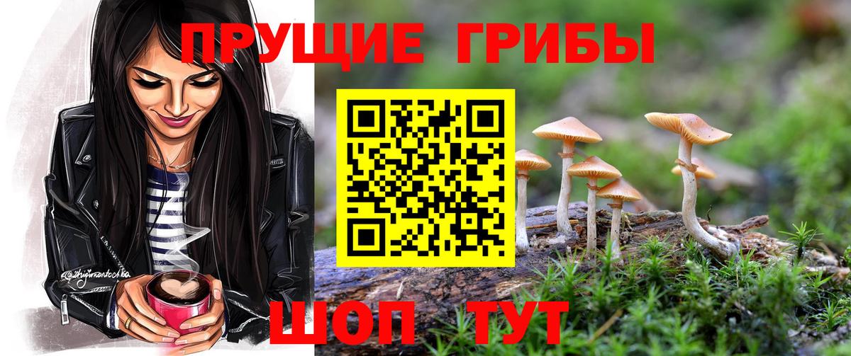 Псилоцибиновые грибы Cubensis Унеча
